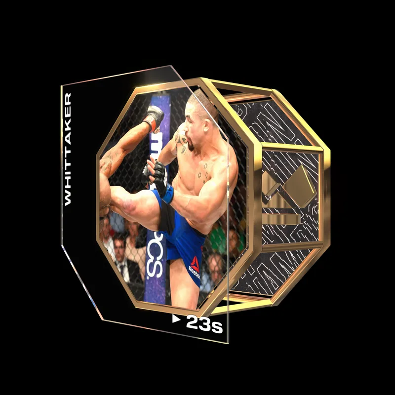 ROBERT WHITTAKER | UFC 213