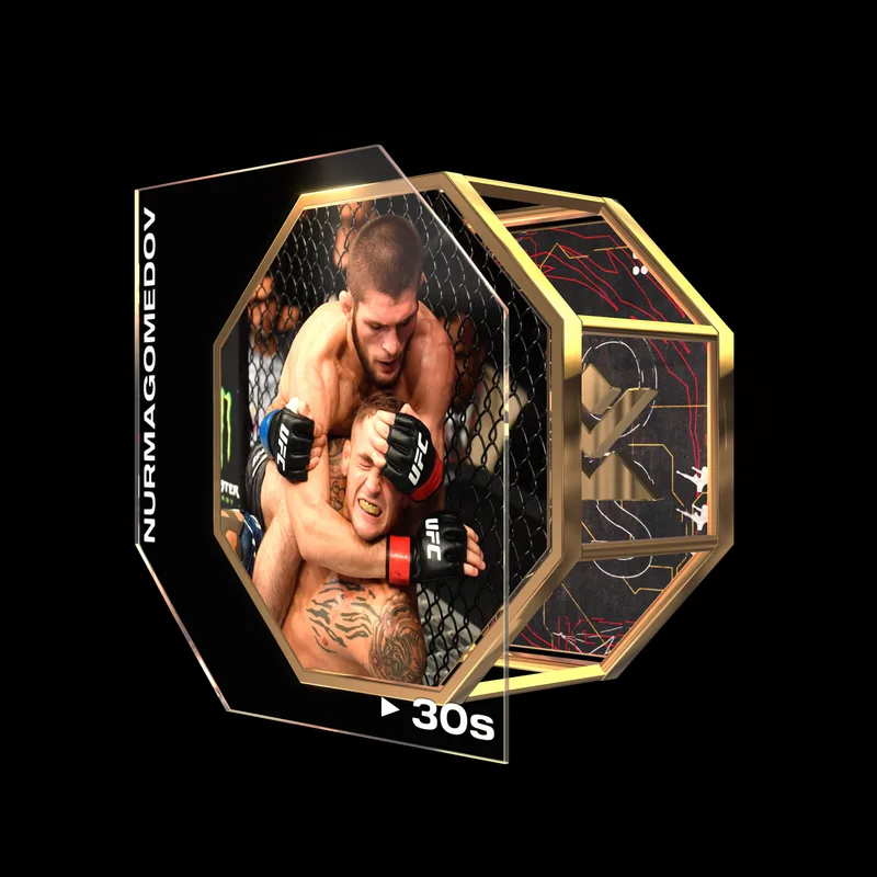 KHABIB NURMAGOMEDOV | UFC 242