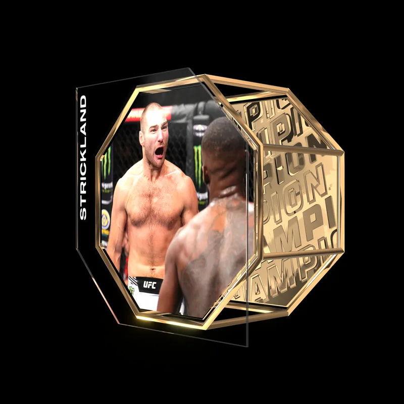 SEAN STRICKLAND | UFC 293