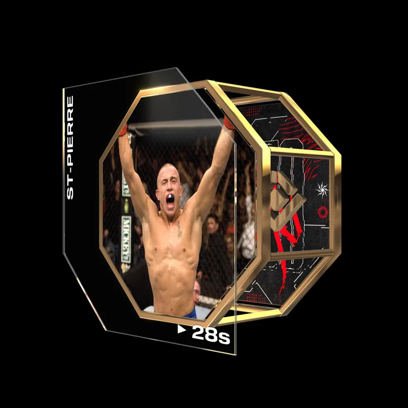 GEORGES ST-PIERRE | UFC 65