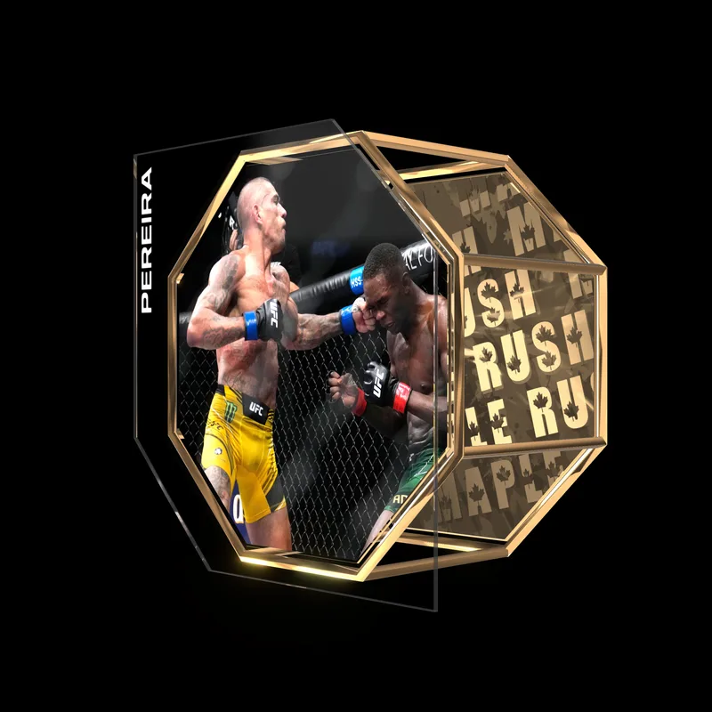 ALEX PEREIRA | UFC 281
