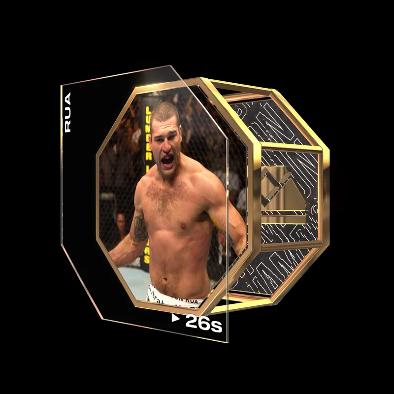 SHOGUN RUA | UFC 113