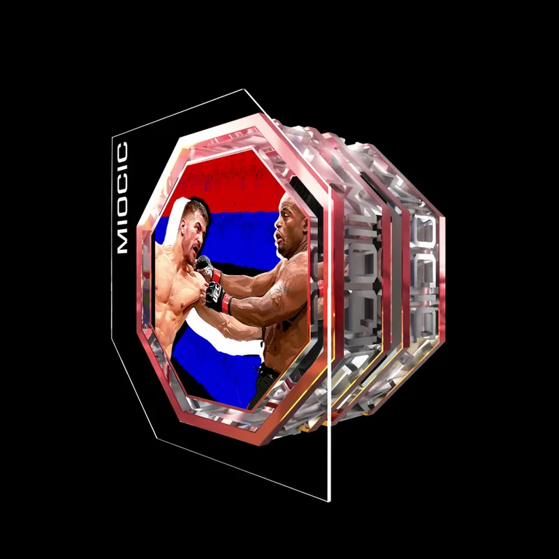 STIPE MIOCIC | UFC 241