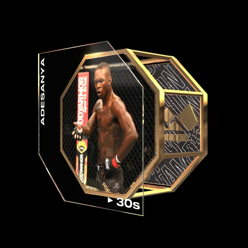 ISRAEL ADESANYA | UFC 253