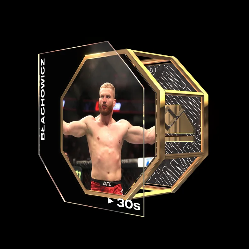 JAN BLACHOWICZ | UFC 239