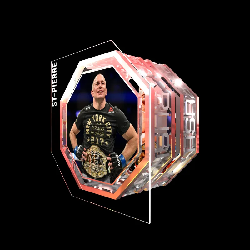 GEORGES ST-PIERRE | UFC 217