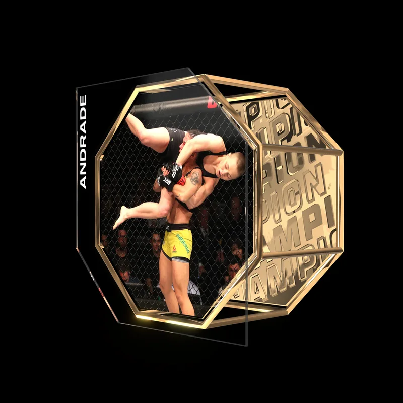 JESSICA ANDRADE | UFC 237