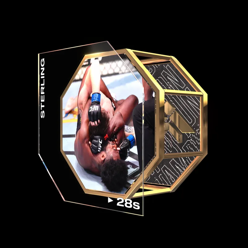 ALJAMAIN STERLING | UFC 250