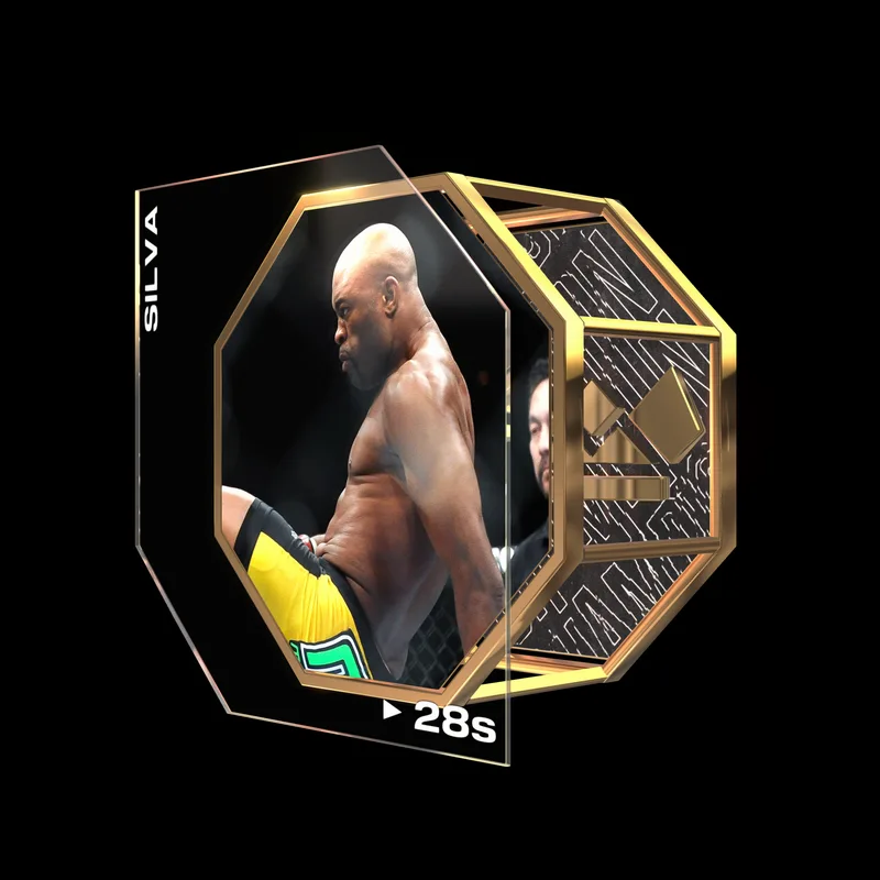 ANDERSON SILVA | UFC 126