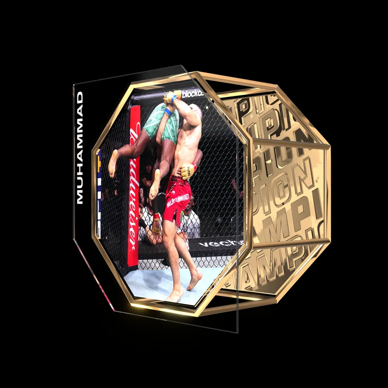 BELAL MUHAMMAD | UFC 304