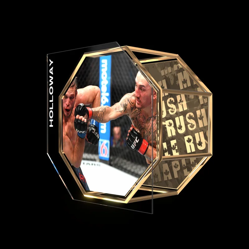 MAX HOLLOWAY | UFC 231