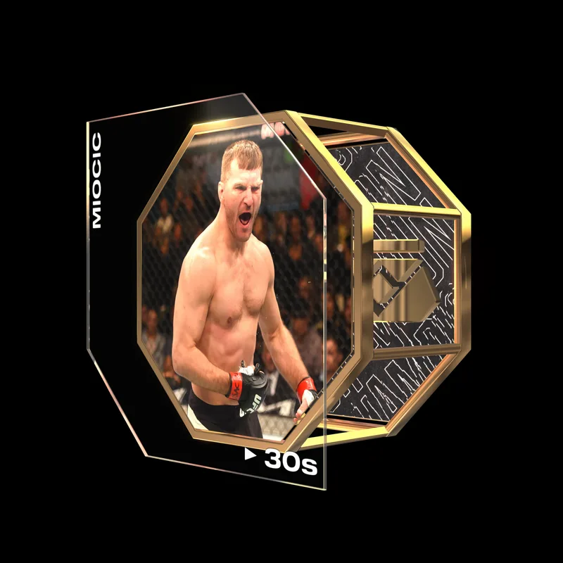 STIPE MIOCIC | UFC 195