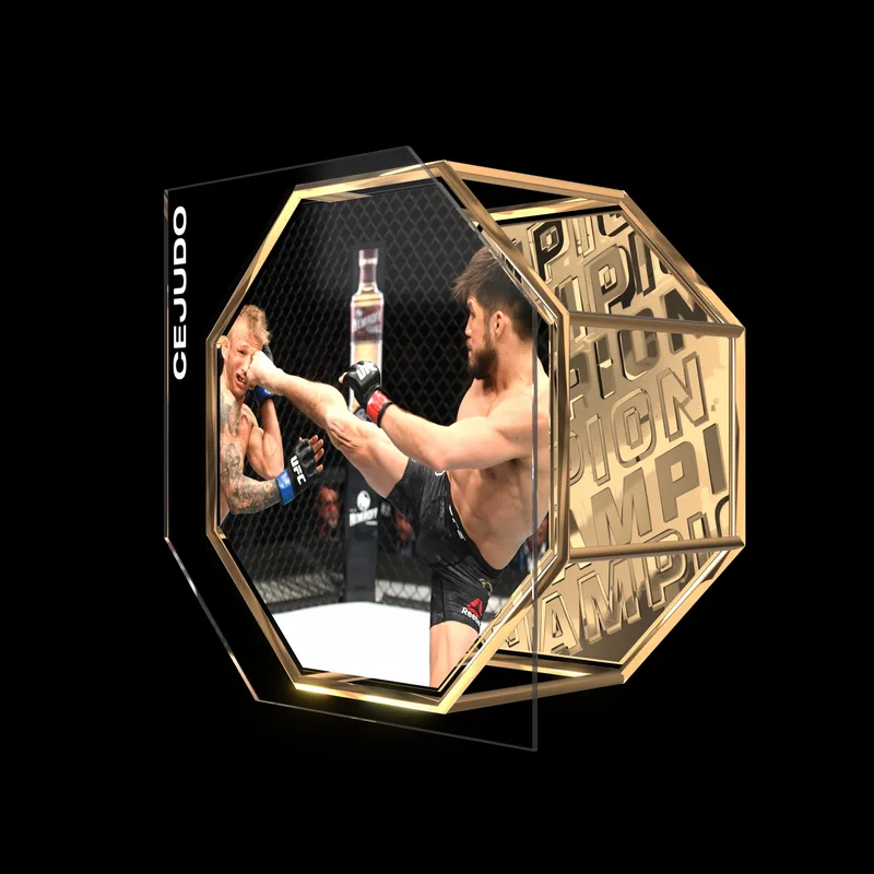 HENRY CEJUDO | UFC FIGHT NIGHT JAN 19, 2019