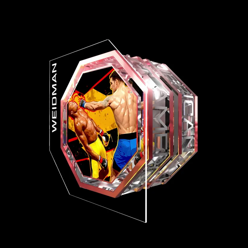 CHRIS WEIDMAN | UFC 162